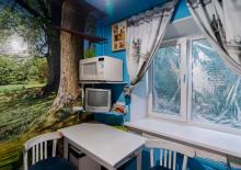 2-к квартира, 43 м&sup2, 3/5 эт., Пермь, Народовольческая, 4 - фото 7